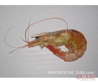 魯濱海產(chǎn)工廠直營 產(chǎn)地批發(fā)優(yōu)質(zhì)蝦類干制品