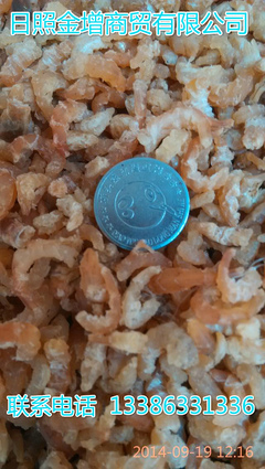 日照金增水產(chǎn) 冷凍帶魚塊段工廠直銷，優(yōu)質(zhì)批發(fā)首選