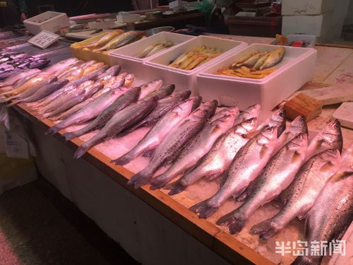 青島水產(chǎn)品交易遇冷，進(jìn)口水產(chǎn)停售，市場監(jiān)管部門嚴(yán)查進(jìn)貨來源