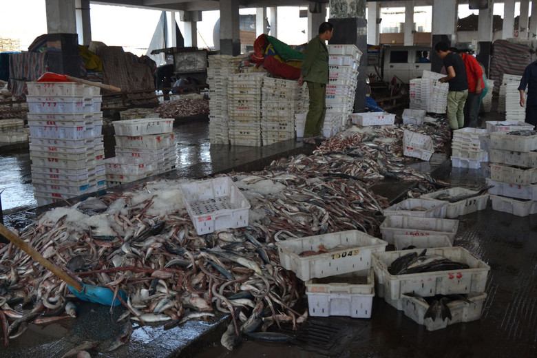 松門水產批發市場 邊買邊拍，探訪鮮活水產品批發新體驗