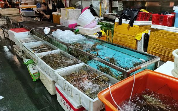 廣東省主要水產(chǎn)品批發(fā)市場(chǎng)一覽